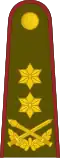 Generolas majoras (Lithuanian Land Forces)[41]
