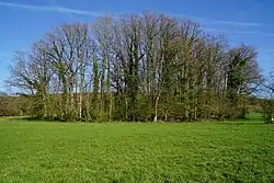 General view of the slag heap.