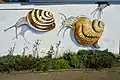 Snails by Frans Faber