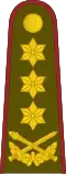 Generolas leitenantas[34] (Lithuanian Land Forces)