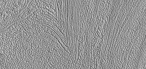 Close view of brain terrain, as seen by HiRISE under HiWish program