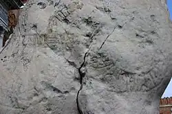 Close-up of a large stone lion's shoulder with deeply carved, weathered runic inscriptions.