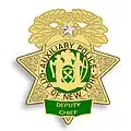 Auxiliary Deputy Chief Shield