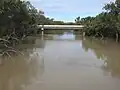 Bridge over the Barwon River in flood (2021)