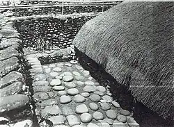 A house and its surroundings in a Tao tribe