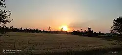 Sunset over wheat fields in Hund, with village buildings on the horizon.
