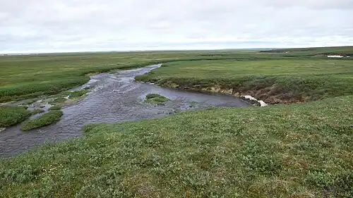 Along Sabbath Creek, a tributary of the Jago River