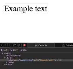 Example image of what displays when the alt text is shown