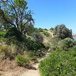 Habitat, Algarve, Portugal
