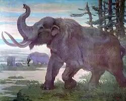American mastodon from Cenozoic