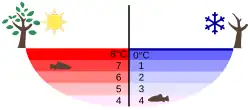 Image 14Temperature distribution in a lake in summer and winter (from Properties of water)