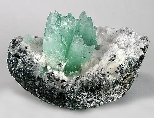 Isolated apophyllite cluster on contrasting matrix