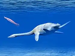 Digital drawing of a pleisiosaur swimming with a squid