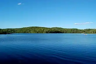 Picture of Arrowhead Lake in Arrowhead Provincial Park during the day, showing water, trees and a rowboat in the distance with three people on it.