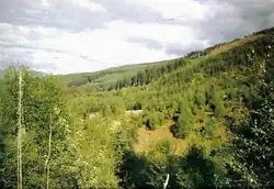 A picture of the forests above Balnain in 1999.[42]