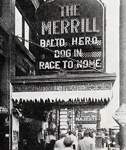 An outdoor movie theatre marquee facing to the right of the theatre's entrance. In large lettering are the top two lines, "THE MERRILL" and in smaller lettering on the bottom three lines, "BALTO, HERO DOG IN RACE TO NOME". Directly underneath this marquee is a marquee in the distance saying "MAJESTIC".