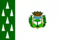Flag of Cercedilla