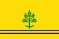 Flag of Sant Guim de Freixenet