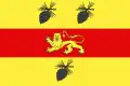 Flag of Landes