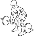 Barbell rear delt row begin