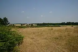 Barnham Heath
