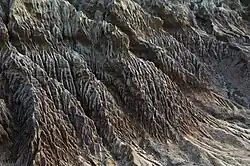 Beach erosion at Cabrillo National Monument, California.