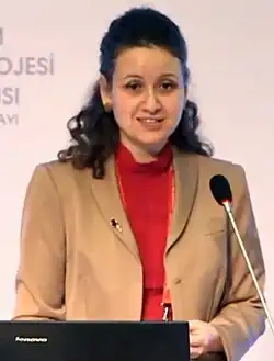Bilge Demirköz, Turkish physicist