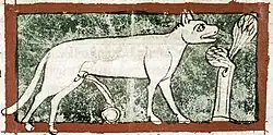 Image 60As is usual in bestiaries, the lynx in this late 13th-century English manuscript is shown urinating, the urine turning to the mythical stone Lyngurium (from List of mythological objects)