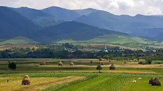 Wooden church in Brădet&nbsp;[ro]