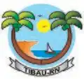 Official seal of Tibau
