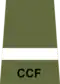CCF AUO rank slide