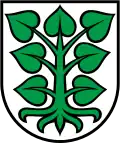Coat of arms of Laupen District