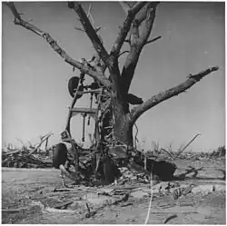 The image shows the wreckage of a car wrapped around a tree that has been stripped of most of its branches.