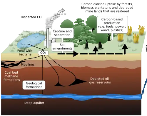 Sequestering carbon from the atmosphere