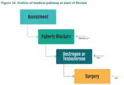 Outline of medical pathway at start of Review
