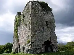 Castlepook