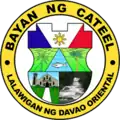 Official seal of Cateel