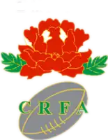 Shirt badge/Association crest