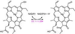 Chlorophyll(ide)_b_reductase_reaction