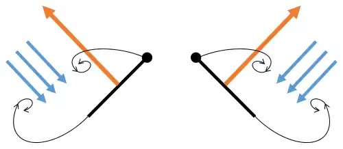 Clap 1: wings close over back