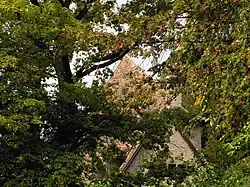 Bellerive Castle roof