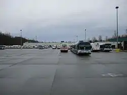 A large, paved parking lot with buses parked in rows