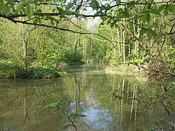 Mouth of the Elster raft ditch in Leipzig