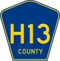 H-13 marker