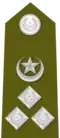 Insignia Of Deputy Inspector General of Punjab Police