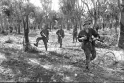 Armed soldiers in a tactical formation move through the trees towards some barbed wire.
