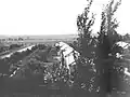 View of southern entrance to the farm, Dafna in 1947