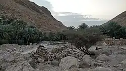 Danhah – Palm groves and old drystone buildings