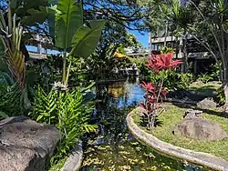 Hawaiian cultural garden (view as a 360° interactive panorama)