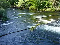 Detail of fish ladder on the River Dart in England